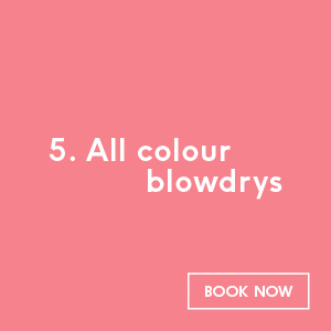 All colour blowdrys