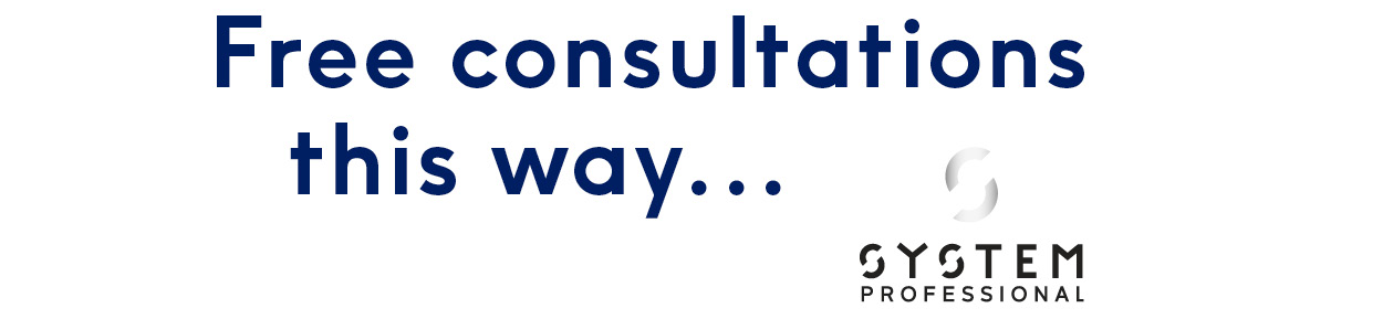 System Professional Free consultations